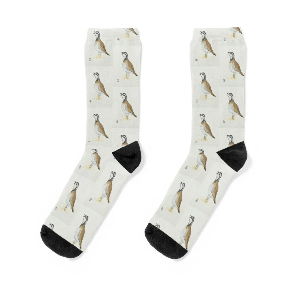 A bobwhite quail whistling a call Socks aesthetic basketball football sports and leisure Socks Man Women's
A bobwhite quail whistling a call Socks aesthetic basketball football sports and leisure Socks Man Women's