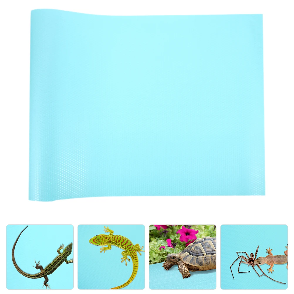 Reptile Carpet Terrarium Bedding Mat Substrate Liner Lizard Snake Turtle Terrarium Cage Accessories Reptile Cage Mat
Reptile Carpet Terrarium Bedding Mat Substrate Liner Lizard Snake Turtle Terrarium Cage Accessories Reptile Cage Mat
