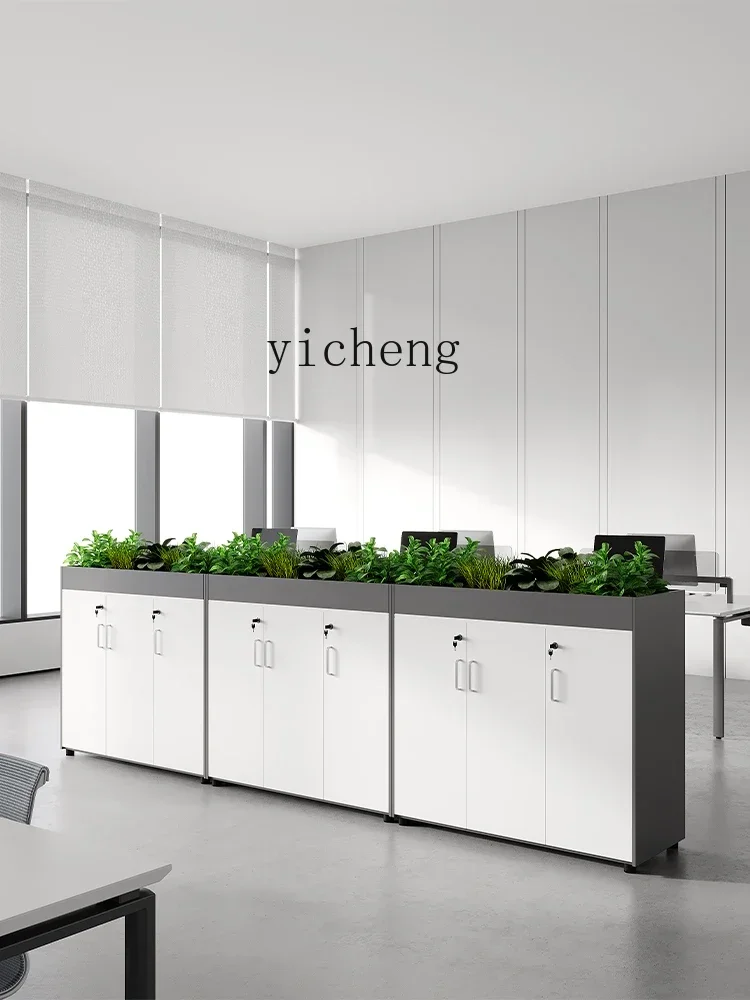 Office File Storage Cabinet File Data Cabinet Partition Planter Locker with Lock