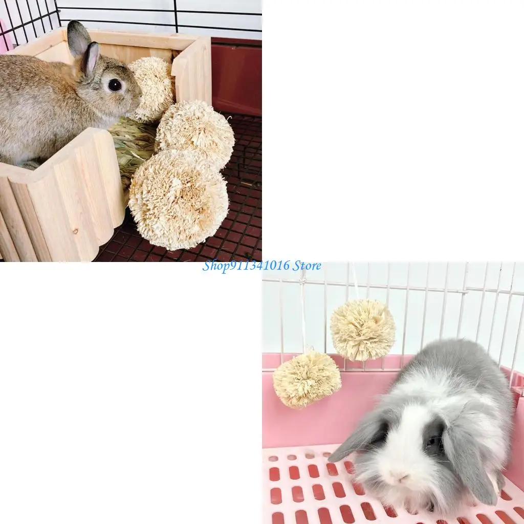 Rabbit Chew Toy Natural Corn Husks Balls Teeth Grinding for Guinea Pigs
Rabbit Chew Toy Natural Corn Husks Balls Teeth Grinding for Guinea Pigs