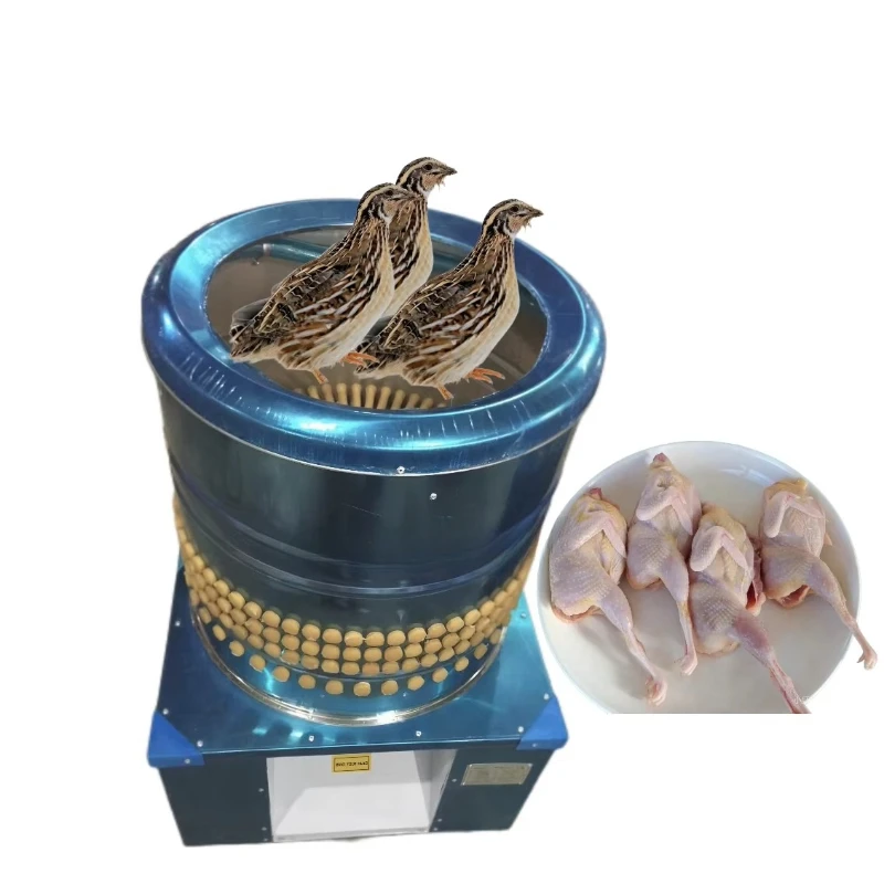 Stainless steel quail wire drawing machine slaughter machine professional quail hair removal machine HJ-50Q
Stainless steel quail wire drawing machine slaughter machine professional quail hair removal machine HJ-50Q