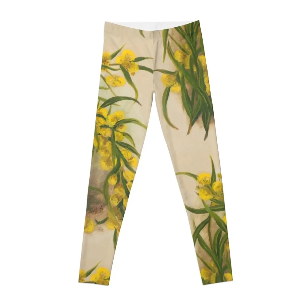 Western Australia wild flower Acacia State Library of Western Australia Leggings sport set flared high waist Womens Leggings
Western Australia wild flower Acacia State Library of Western Australia Leggings sport set flared high waist Womens Leggings