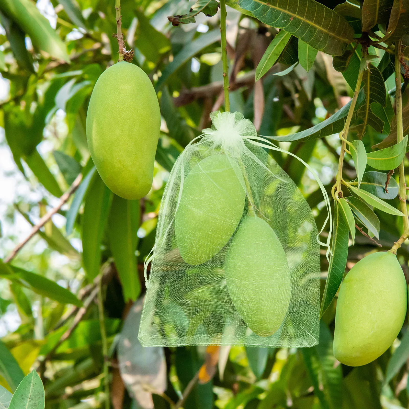 100pcs Fruit Protection Net 10x15cm Green Mesh Bags Drawstring Anti Bird Plant Cover Veggie Guard Breathing
100pcs Fruit Protection Net 10x15cm Green Mesh Bags Drawstring Anti Bird Plant Cover Veggie Guard Breathing