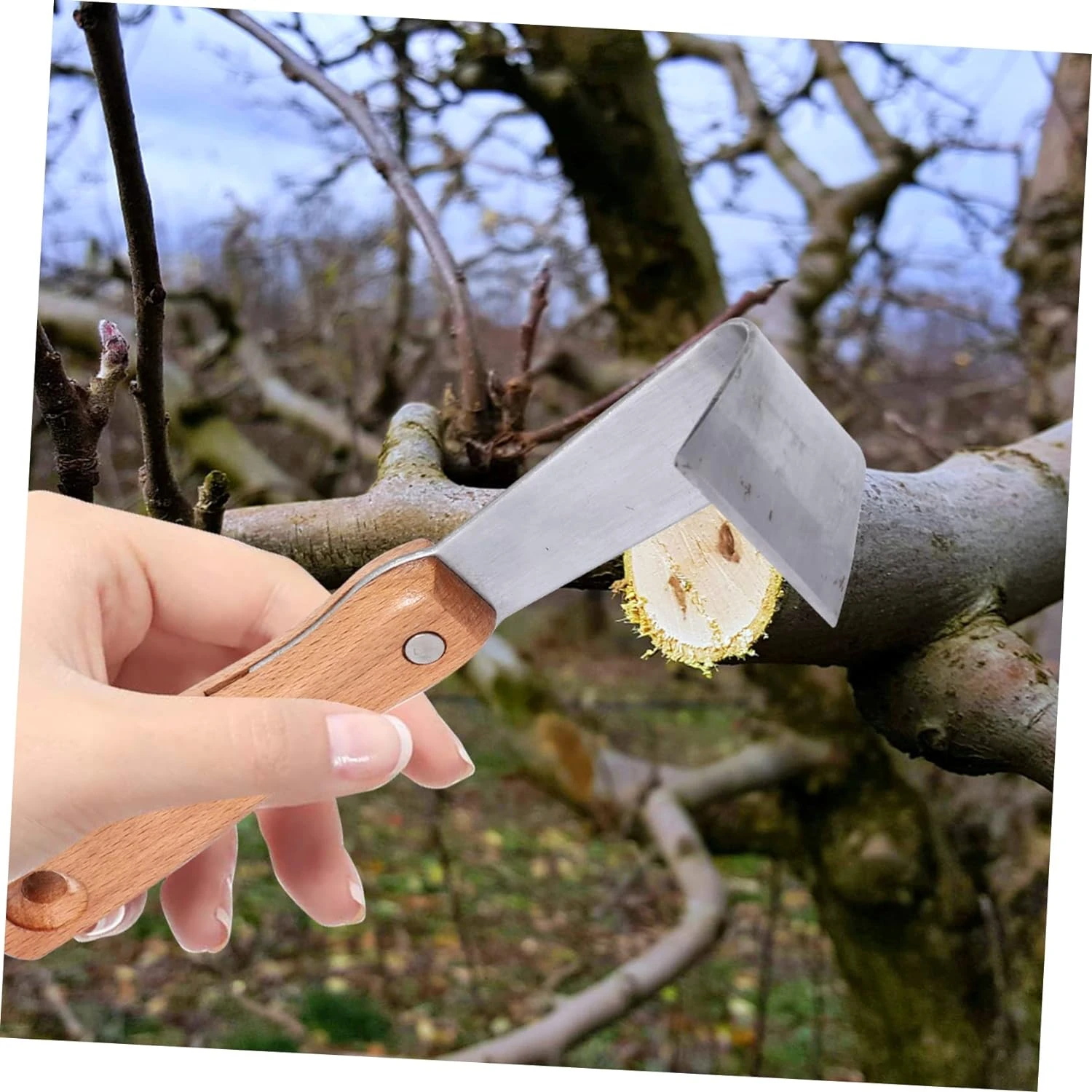 Ensure precision with this high-quality, durable, and professional 6-piece gardening hand knives set for precise branch trimming
Ensure precision with this high-quality, durable, and professional 6-piece gardening hand knives set for precise branch trimming