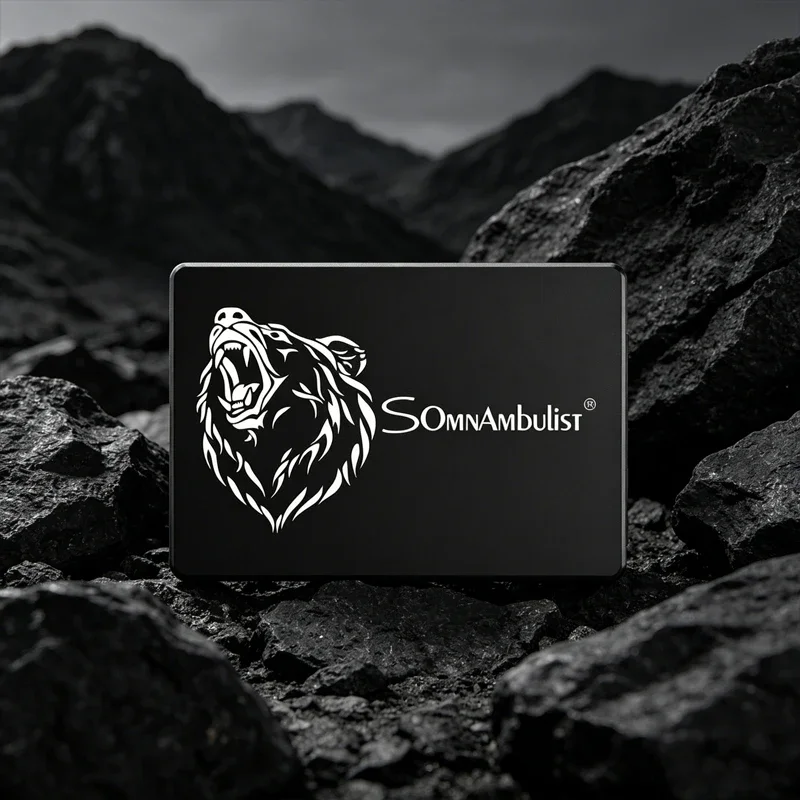 SomnAmbulist SSD Solid-state Drive 2.5 Inch SATA 3.0 Desktop 256GB Laptop 2TB Computer Hard Drive 1TB 128GB
SomnAmbulist SSD Solid-state Drive 2.5 Inch SATA 3.0 Desktop 256GB Laptop 2TB Computer Hard Drive 1TB 128GB