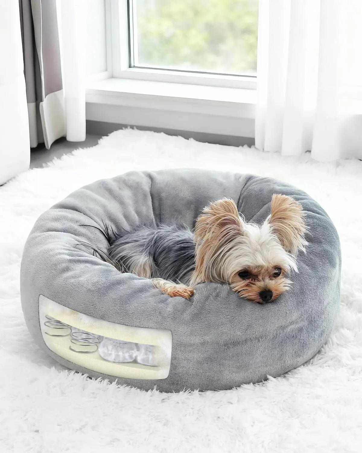 Donut Dog Bed with Pocketed Coils, Detachable Washable Puppy Bed, Round Flannel Anti-Anxiety Pet Bed, 20 in, Gray
Donut Dog Bed with Pocketed Coils, Detachable Washable Puppy Bed, Round Flannel Anti-Anxiety Pet Bed, 20 in, Gray