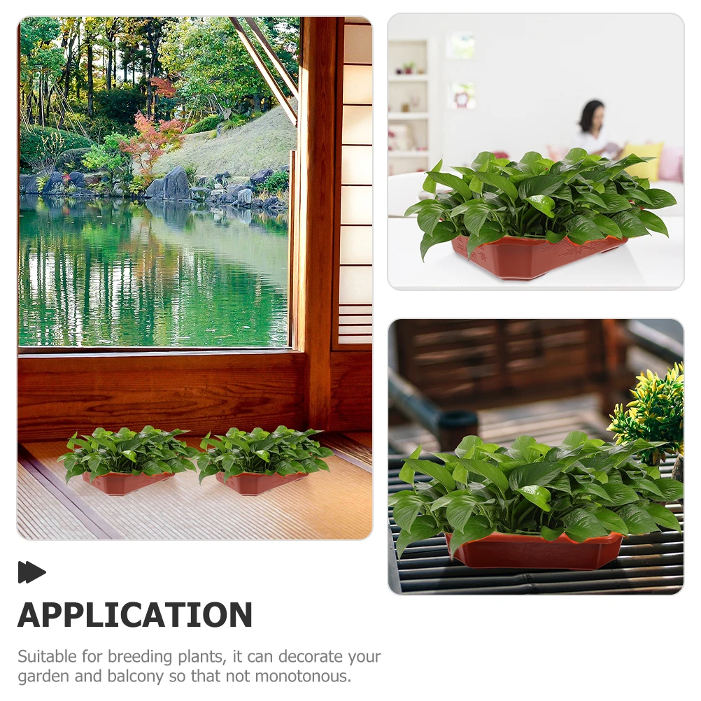 12 Pcs Plastic Flower Pot Plant Small Decorative Mini Pots Flowerpot Flowers Planter Office for Indoor Plants 
12 Pcs Plastic Flower Pot Plant Small Decorative Mini Pots Flowerpot Flowers Planter Office for Indoor Plants