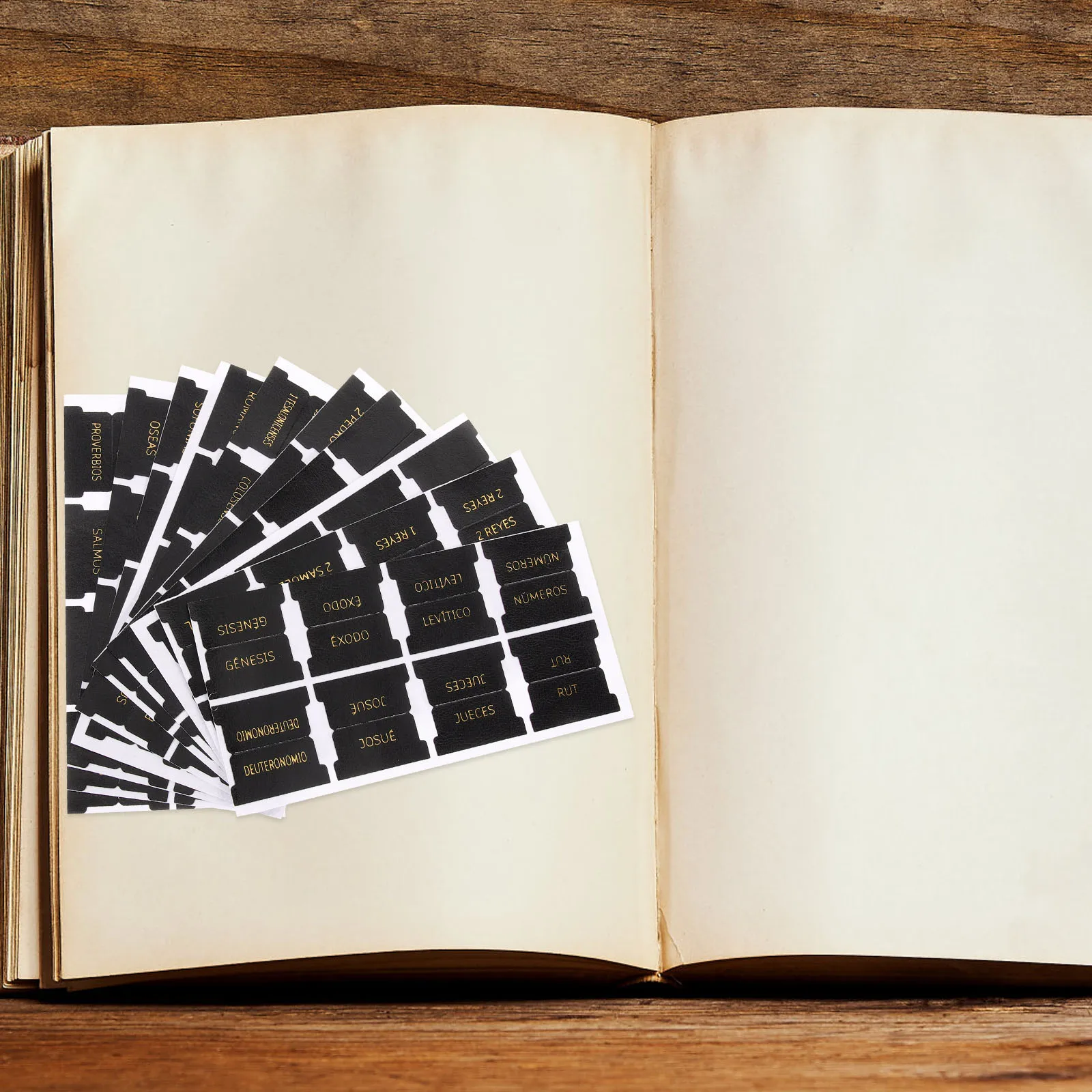 80 Pcs Bible Tags Tabs Large Print Study for Women Accessories Decorative Book Reading Male Miss
80 Pcs Bible Tags Tabs Large Print Study for Women Accessories Decorative Book Reading Male Miss