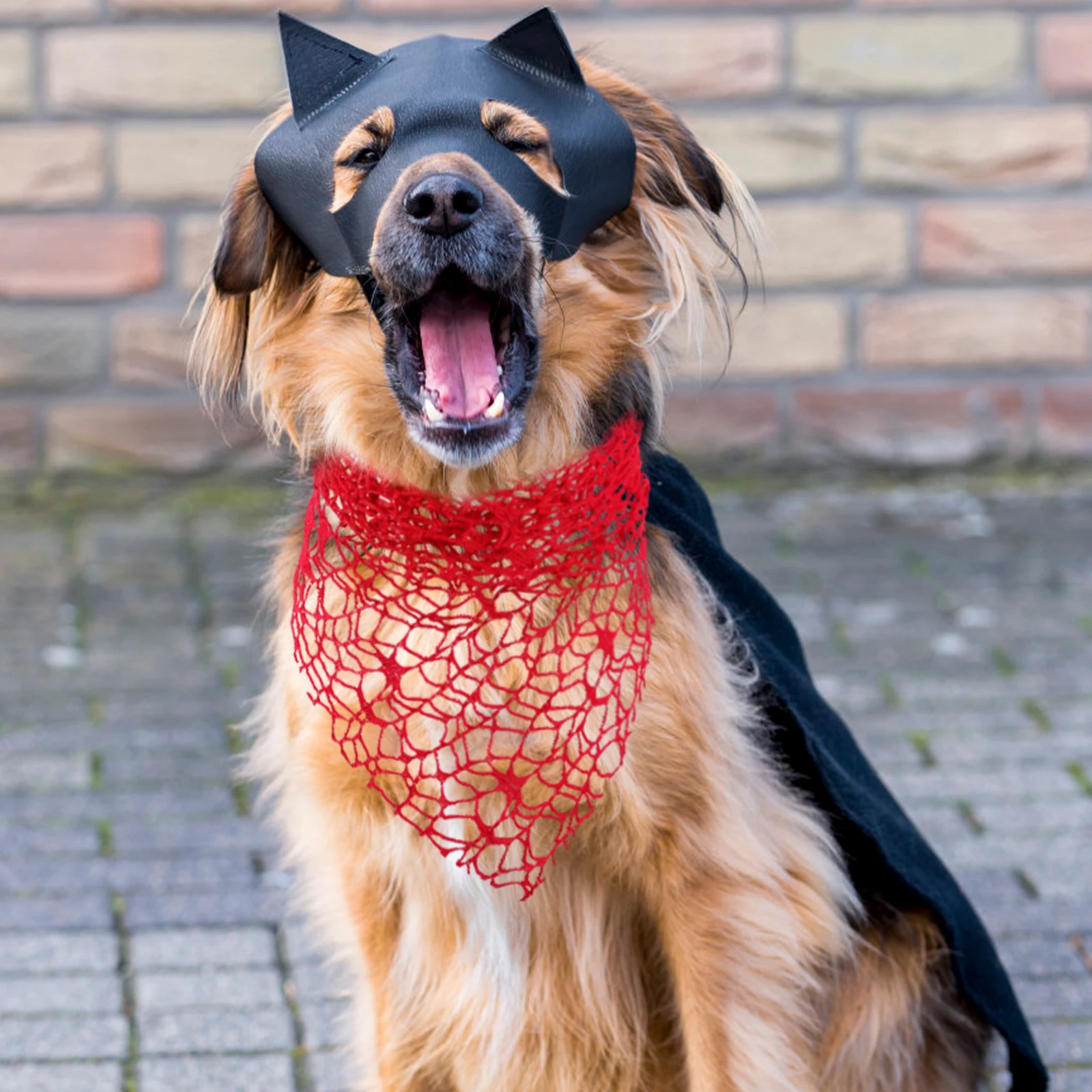 2Pcs Pet Bib Halloween Dog B Large Spider Headdress Red Polyester Costume Ghost Theme Festive Accessories Small Large Pets
2Pcs Pet Bib Halloween Dog B Large Spider Headdress Red Polyester Costume Ghost Theme Festive Accessories Small Large Pets