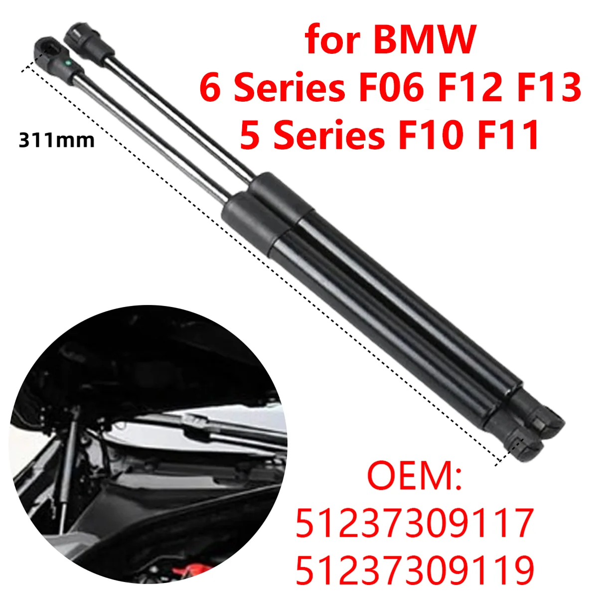 2Pcs 51237309117 Car Front Bonnet Hood Gas Struts Lift Support Rods for BMW 5 Series F10 F11 6 Series F06 F12 F13 2010-2017
2Pcs 51237309117 Car Front Bonnet Hood Gas Struts Lift Support Rods for BMW 5 Series F10 F11 6 Series F06 F12 F13 2010-2017