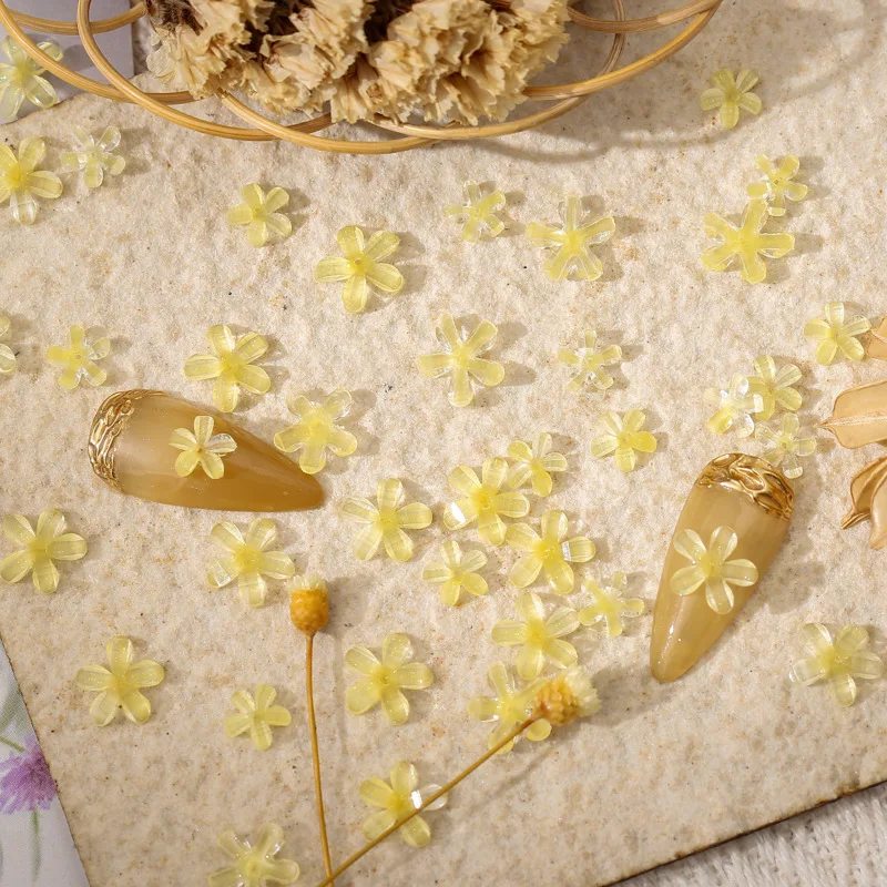 50PCS 3D Acrylic Nail Art Flower Charms Accessories Clear Yellow Resin Five-petaled Flowers Parts For Nails Decoration Supplies
50PCS 3D Acrylic Nail Art Flower Charms Accessories Clear Yellow Resin Five-petaled Flowers Parts For Nails Decoration Supplies