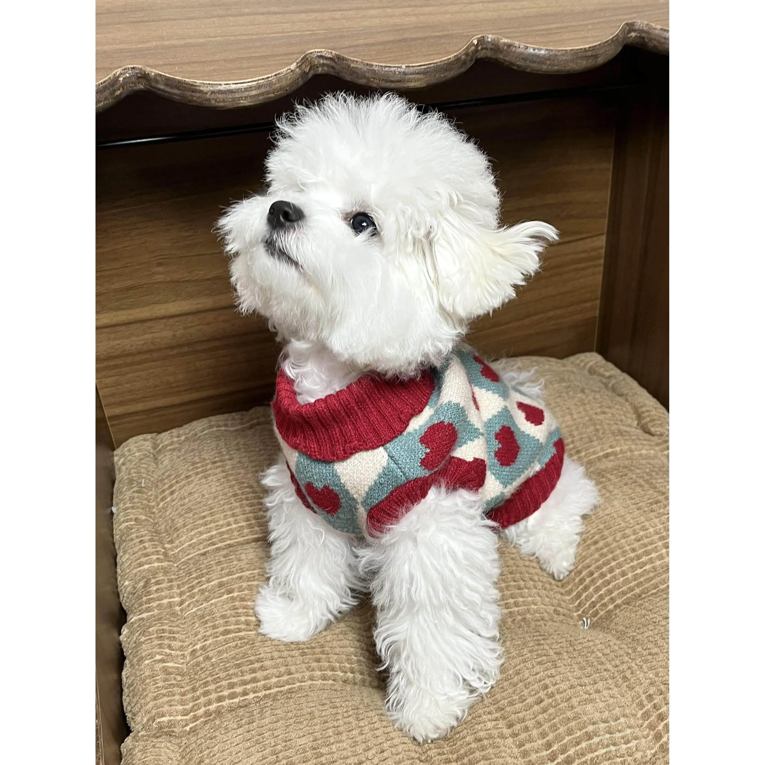 Warm Knitted Pet Sweater for Bichon Dogs Small Size Home Clothes Elastic Heart Pattern Vest Style Pet Clothing for Autumn Winter
Warm Knitted Pet Sweater for Bichon Dogs Small Size Home Clothes Elastic Heart Pattern Vest Style Pet Clothing for Autumn Winter
