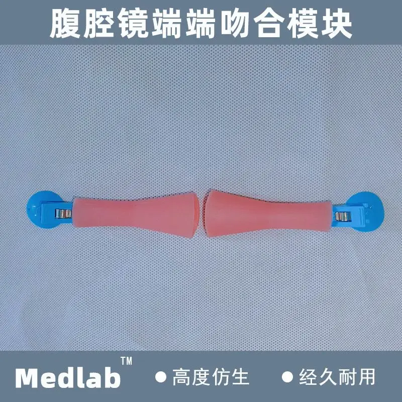 Лапароскопическое обучение с модулем кишечника, модуль анастомоза на конце для обучения студентов-медикам
Лапароскопическое обучение с модулем кишечника, модуль анастомоза на конце для обучения студентов-медикам