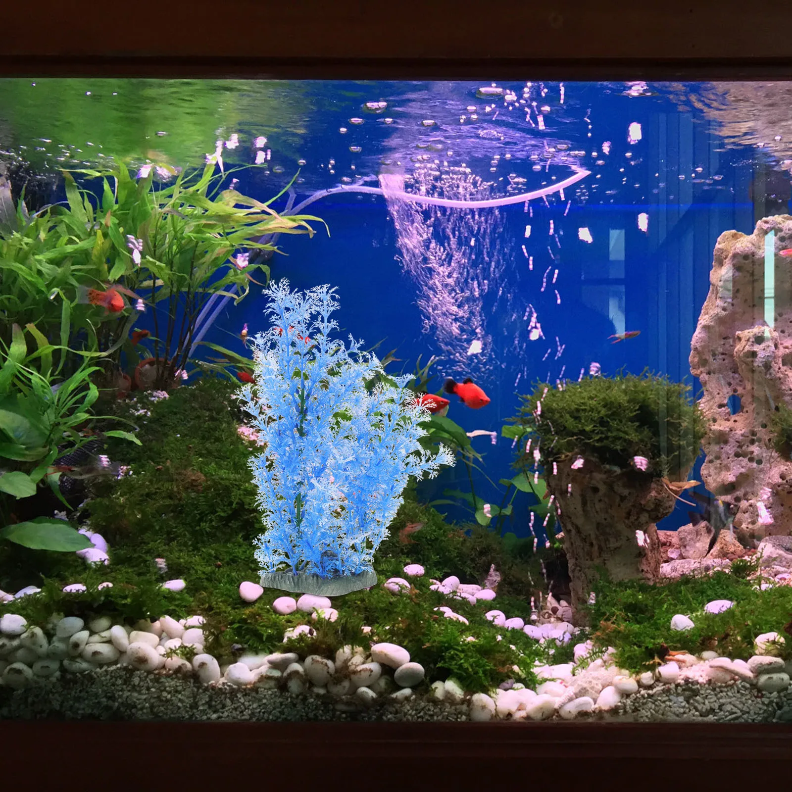 Artificial Aquatic Decoration Fish Tank Plants Creative Landscape Grass Durable Safe Material Non Polluting Underwater Scene
Artificial Aquatic Decoration Fish Tank Plants Creative Landscape Grass Durable Safe Material Non Polluting Underwater Scene