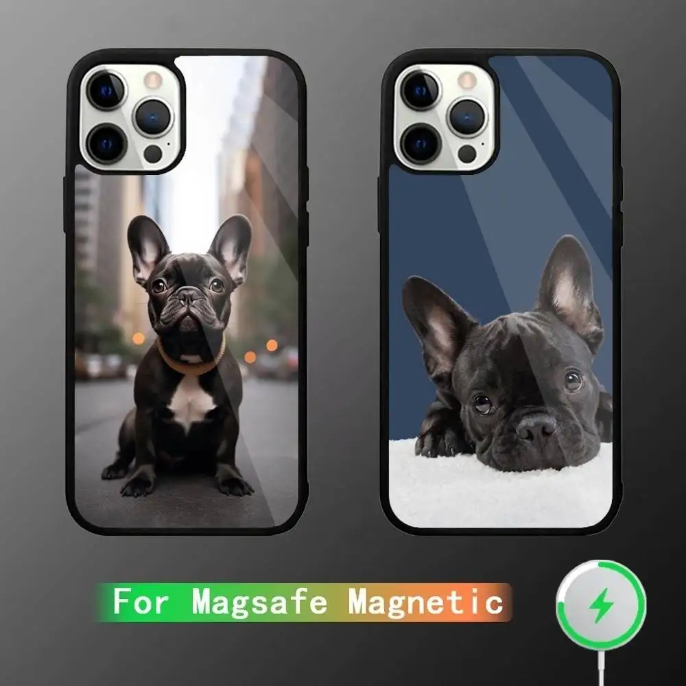 french bulldog Phone Case For iPhone 16,15,14,13,12,11,Pro,Max,Plus,Mini,SE New Magsafe Magnetic Wireless Charging
french bulldog Phone Case For iPhone 16,15,14,13,12,11,Pro,Max,Plus,Mini,SE New Magsafe Magnetic Wireless Charging
