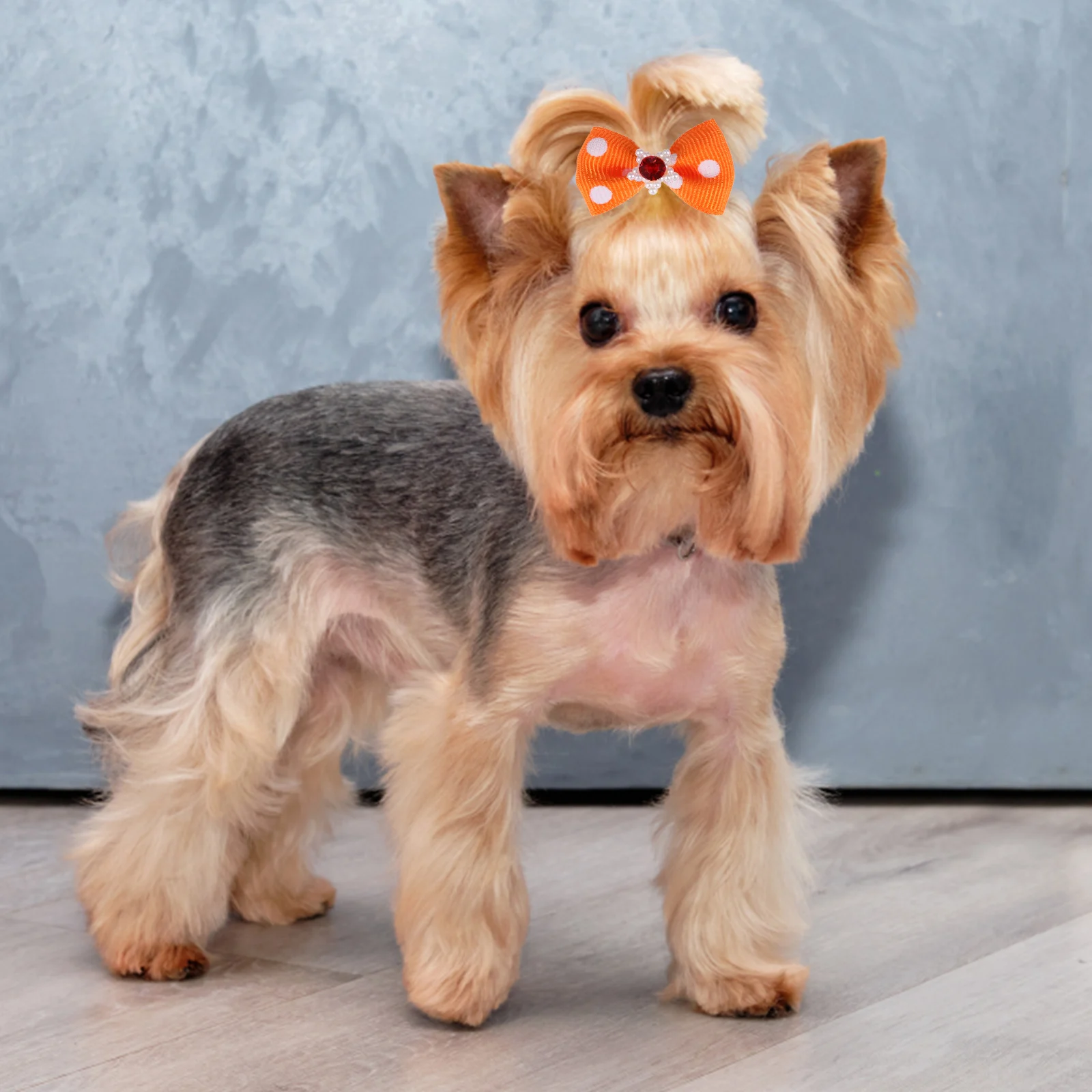 50 pcs Pet For Dogs Elastic Hair Bows With s Bows for Small Dogs Cats Hair Bowknot Ties Accessories
50 pcs Pet For Dogs Elastic Hair Bows With s Bows for Small Dogs Cats Hair Bowknot Ties Accessories