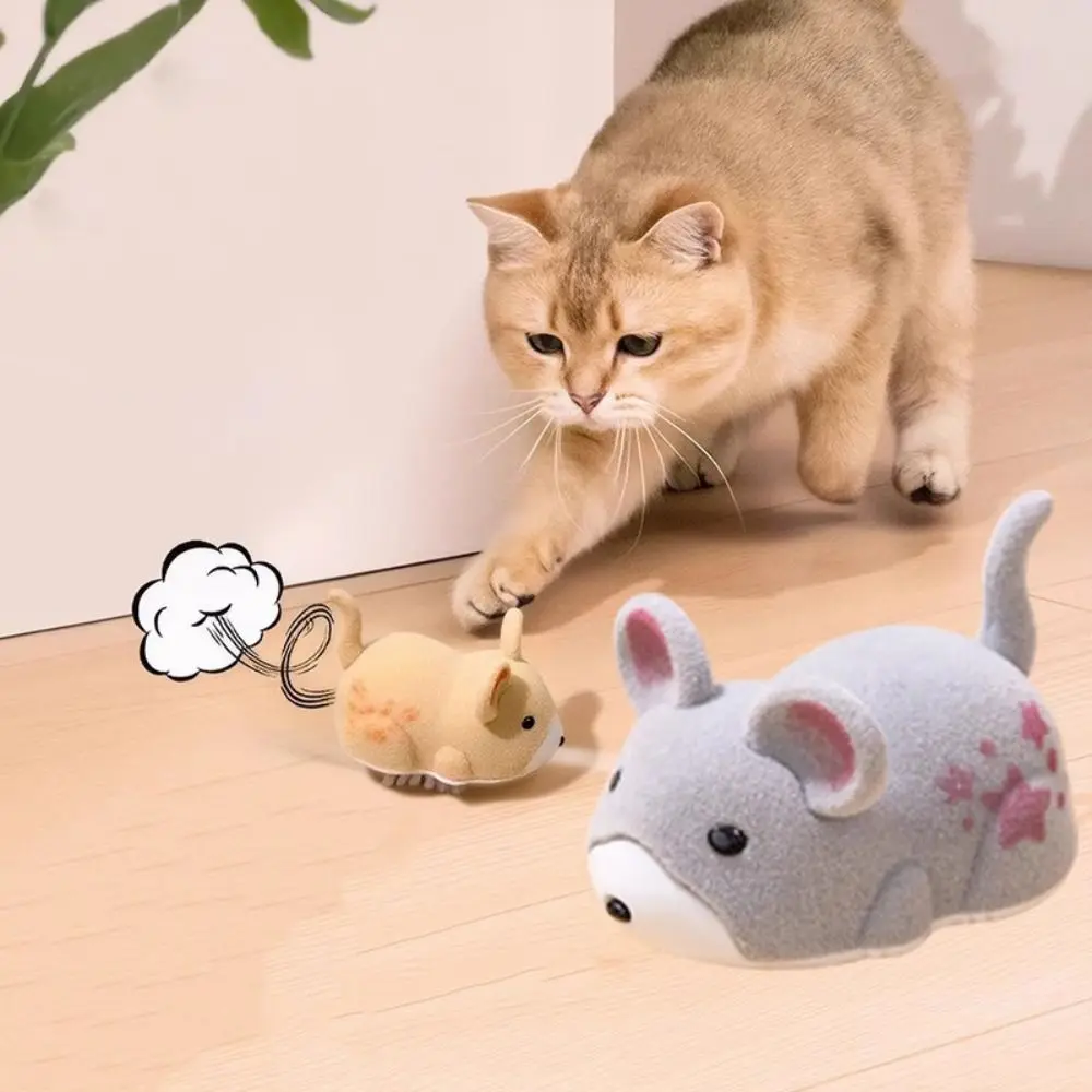 Creative Cute Electric Hamster Toy Wear-resistant Funny Cat Teasing Toys Bite-resistant Simulation Hamster Relieve Boredom
Creative Cute Electric Hamster Toy Wear-resistant Funny Cat Teasing Toys Bite-resistant Simulation Hamster Relieve Boredom