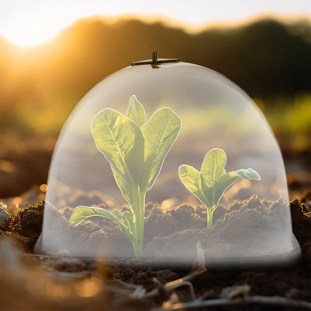 6 Pcs 12cm Garden Cloche Dome Moisturizing Insulation Greenhouse Plant Pot Cover Protection Gardening Tools Plastic
6 Pcs 12cm Garden Cloche Dome Moisturizing Insulation Greenhouse Plant Pot Cover Protection Gardening Tools Plastic