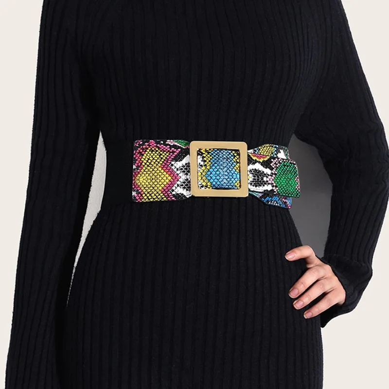 2026 Ladies Snake Print Corset Elastic Wide Waist Dress Decorative Fashion High Quality Belts for Women Luxury Designer Brand
2026 Ladies Snake Print Corset Elastic Wide Waist Dress Decorative Fashion High Quality Belts for Women Luxury Designer Brand
