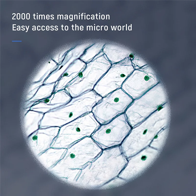 【Last-Chance!】2000X Biological Digital Microscope Wifi USB Microscope with Digital & Microbial Lens with 11 Adjustable LED
【Last-Chance!】2000X Biological Digital Microscope Wifi USB Microscope with Digital & Microbial Lens with 11 Adjustable LED