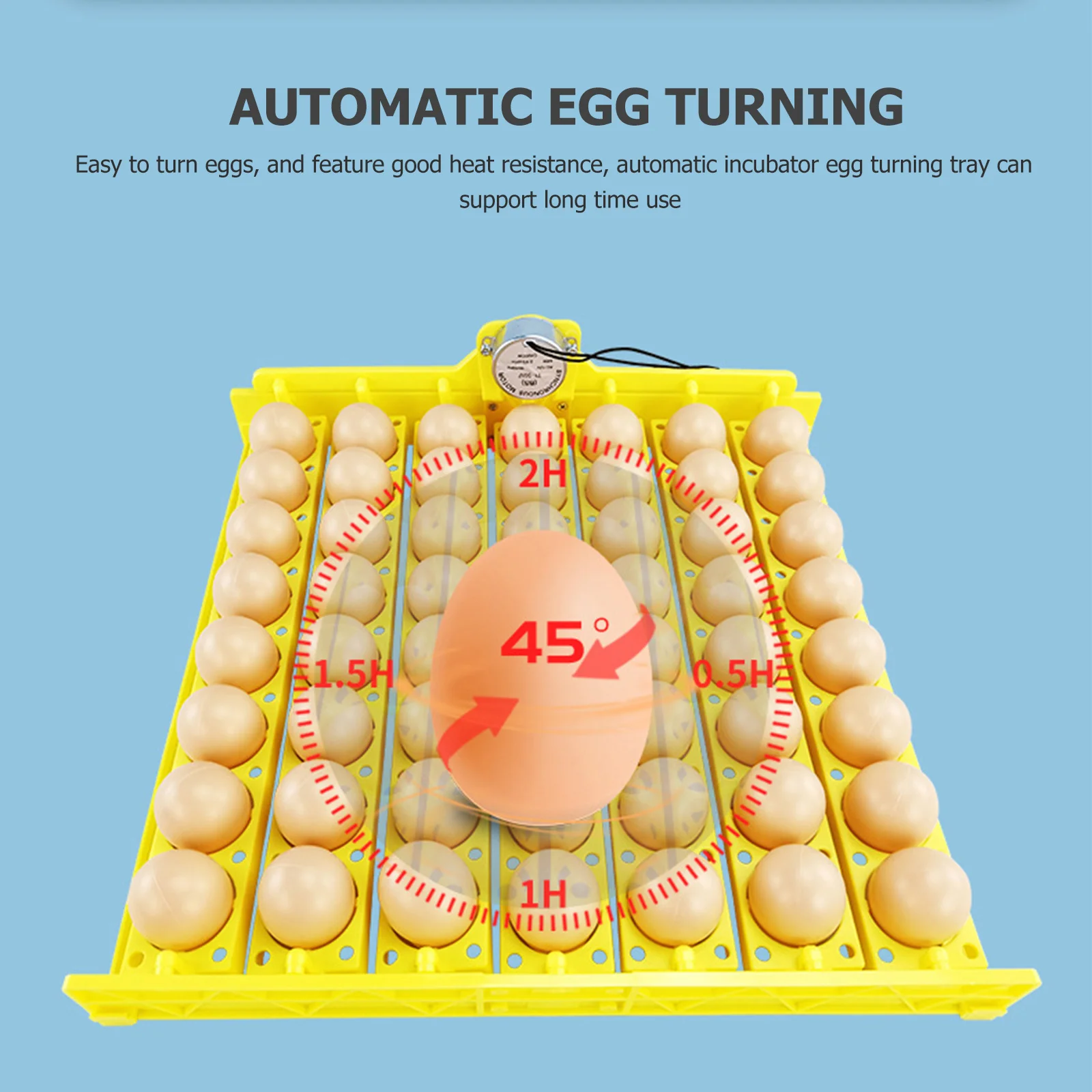 Automatic Egg Turning For Part Chicken Duck Quail Poultry Breeding Equipment Automatic Chicken Incubator Tray Hatcher
Automatic Egg Turning For Part Chicken Duck Quail Poultry Breeding Equipment Automatic Chicken Incubator Tray Hatcher