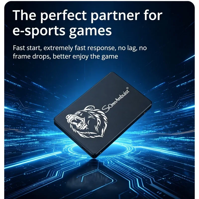 Durable 2.5'' SATA3 SomnAmbulist SSD 128GB~2TB, Internal Solid State Drive for Laptop & Desktop PC
Durable 2.5'' SATA3 SomnAmbulist SSD 128GB~2TB, Internal Solid State Drive for Laptop & Desktop PC