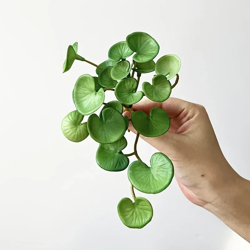 Artificial Plant Mini Bouquet Copper Coin Grass Soft Glue Fake Green Plants Wall Hanging for Home Office Garden Decoration
Artificial Plant Mini Bouquet Copper Coin Grass Soft Glue Fake Green Plants Wall Hanging for Home Office Garden Decoration