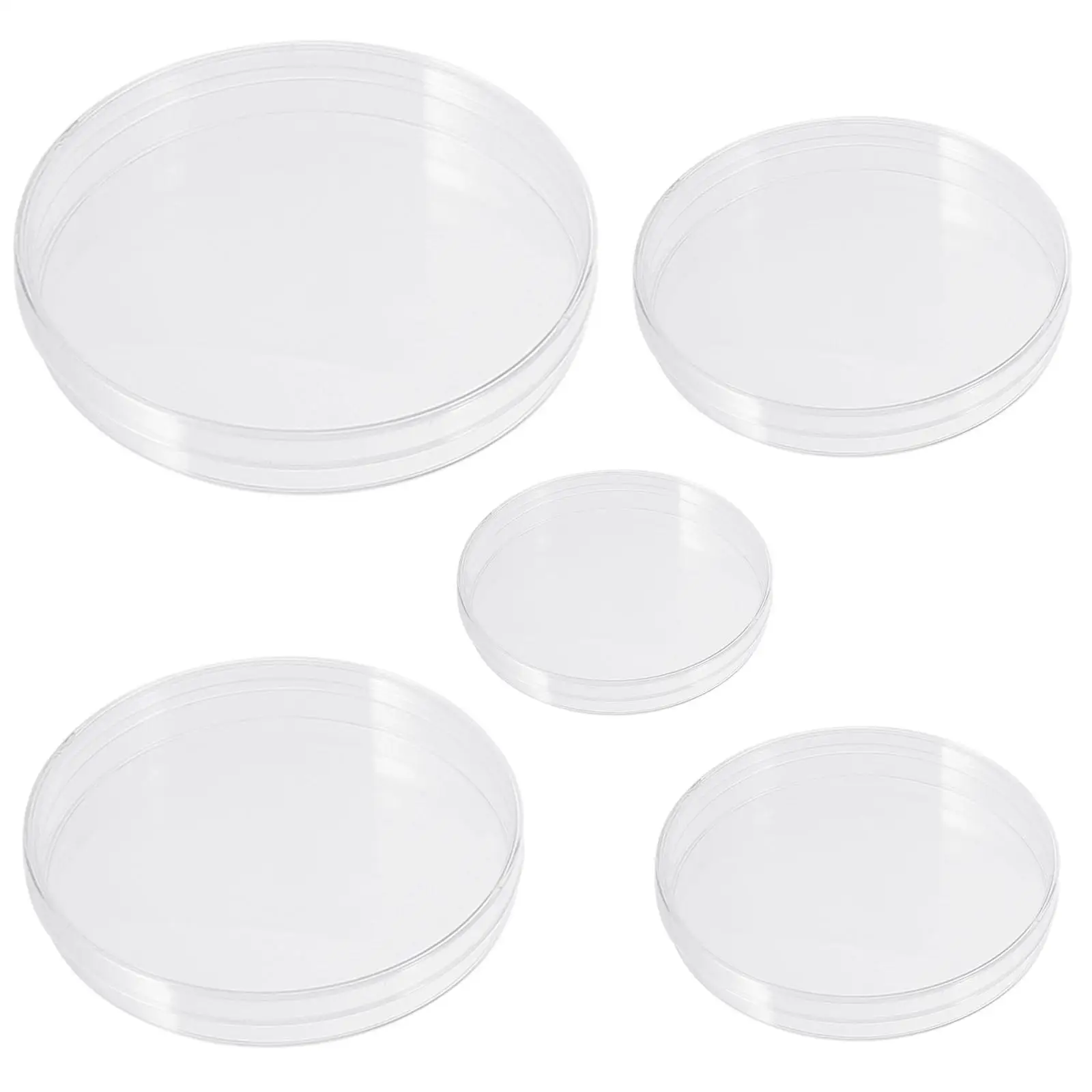 50 Pcs Cell Culture Dish Plastic Petri Dishes Transparent Laboratory Biology Microbiology Studies Safe Eco Friendly Reusable
50 Pcs Cell Culture Dish Plastic Petri Dishes Transparent Laboratory Biology Microbiology Studies Safe Eco Friendly Reusable