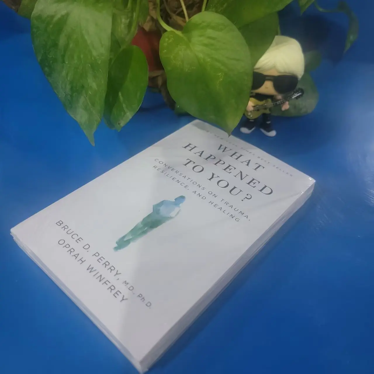What Happened To You By Oprah Winfrey Conversations on Trauma, Resilience, and Healing Paperback Book in English
What Happened To You By Oprah Winfrey Conversations on Trauma, Resilience, and Healing Paperback Book in English