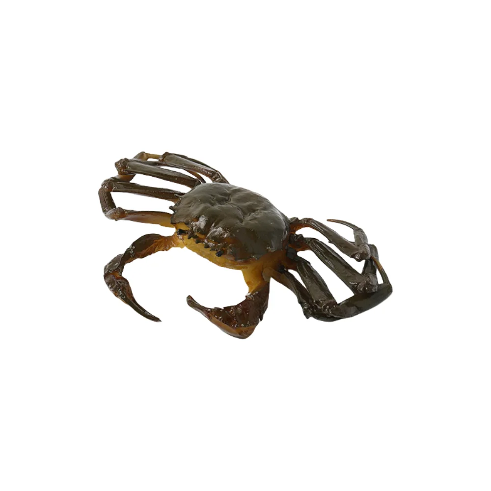 Funny Swimming Crab Barrettes Exaggerated Creative Hairy Crab Hair Clip Resin Exquisite Simulated Crab Hairpin
Funny Swimming Crab Barrettes Exaggerated Creative Hairy Crab Hair Clip Resin Exquisite Simulated Crab Hairpin