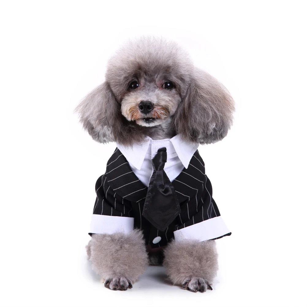 Suit Costume Puppy Formal Clothing Clothes Outfits Apparel Bow Tie Fashion Lightweight Comfortable Special Occasion Weekend
Suit Costume Puppy Formal Clothing Clothes Outfits Apparel Bow Tie Fashion Lightweight Comfortable Special Occasion Weekend