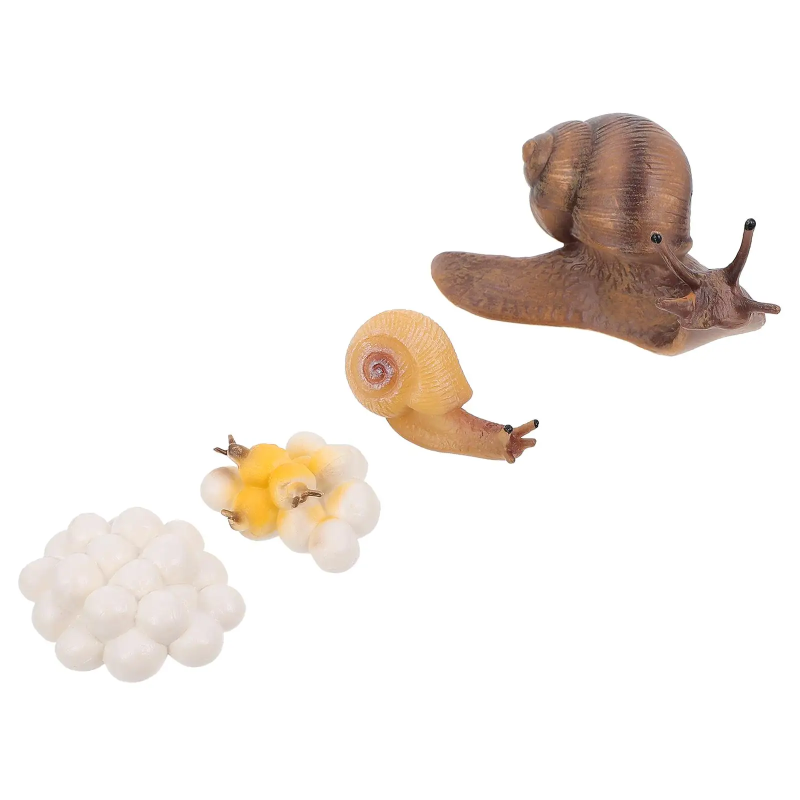 Plastic Snail Life Cycle Figurines Kids Toys Decorative naments Safe Vivid Appearance Home Building Blocks
Plastic Snail Life Cycle Figurines Kids Toys Decorative naments Safe Vivid Appearance Home Building Blocks