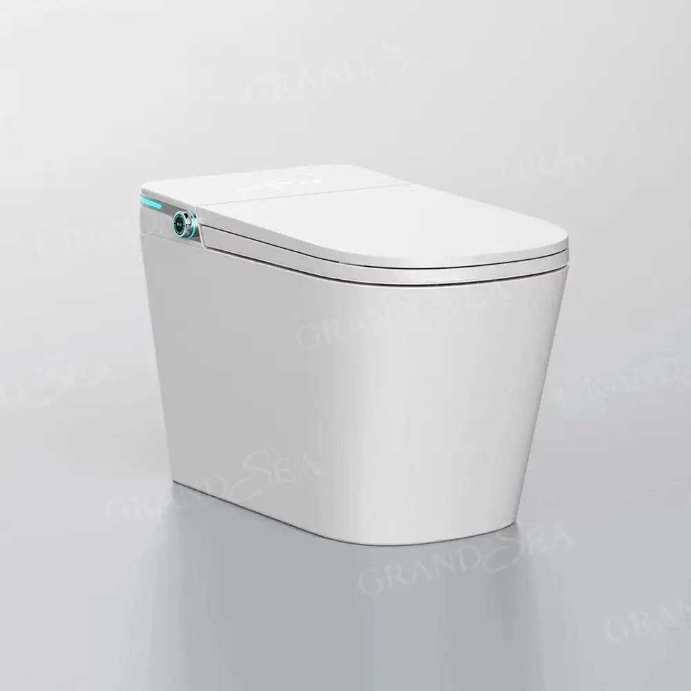 Manufacturer Wholesale Custom Smart Toilet Seat Detection Hygiene And Health Automatic Sensor Flushing Integrated Smart Toilet
Manufacturer Wholesale Custom Smart Toilet Seat Detection Hygiene And Health Automatic Sensor Flushing Integrated Smart Toilet