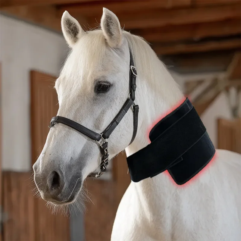 660nm 850nm Lighting Treatment Wearable Device Pain Relief Animals Led Red Light Therapy For Horses
660nm 850nm Lighting Treatment Wearable Device Pain Relief Animals Led Red Light Therapy For Horses