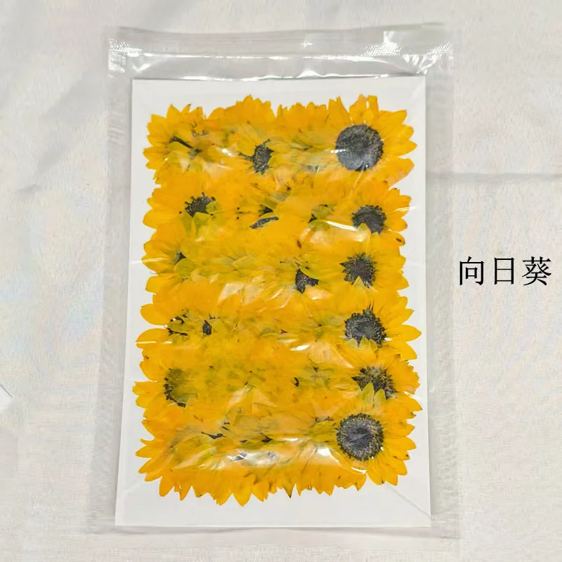 30Pcs Sunflower Pressed Flower Bookmarks, Postcards, Greeting Cards, Plant Specimens, Bridal Makeup, Sunflower Pressed Flower Materials, DIY Resin Phone Case Bookmarks
30Pcs Sunflower Pressed Flower Bookmarks, Postcards, Greeting Cards, Plant Specimens, Bridal Makeup, Sunflower Pressed Flower Materials, DIY Resin Phone Case Bookmarks
