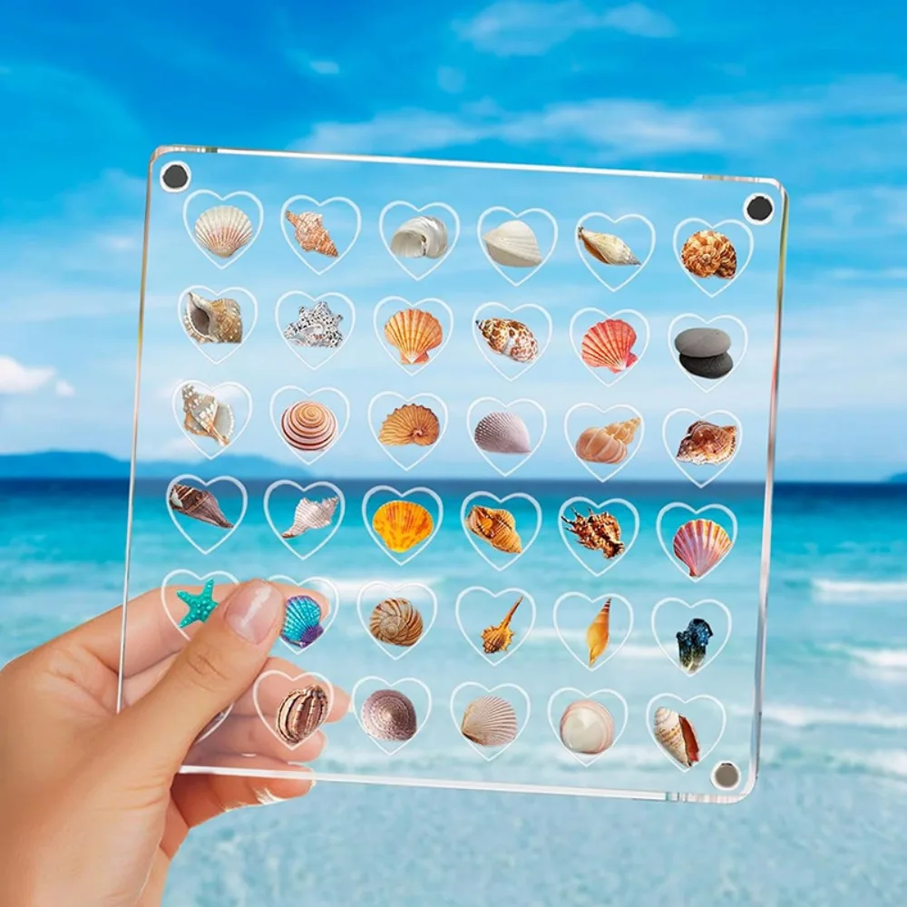 Acrylic Magnetic Seashell Display Box Large-capacity 36/64Grids Jewelry Display Cases Container With Lid Small
Acrylic Magnetic Seashell Display Box Large-capacity 36/64Grids Jewelry Display Cases Container With Lid Small