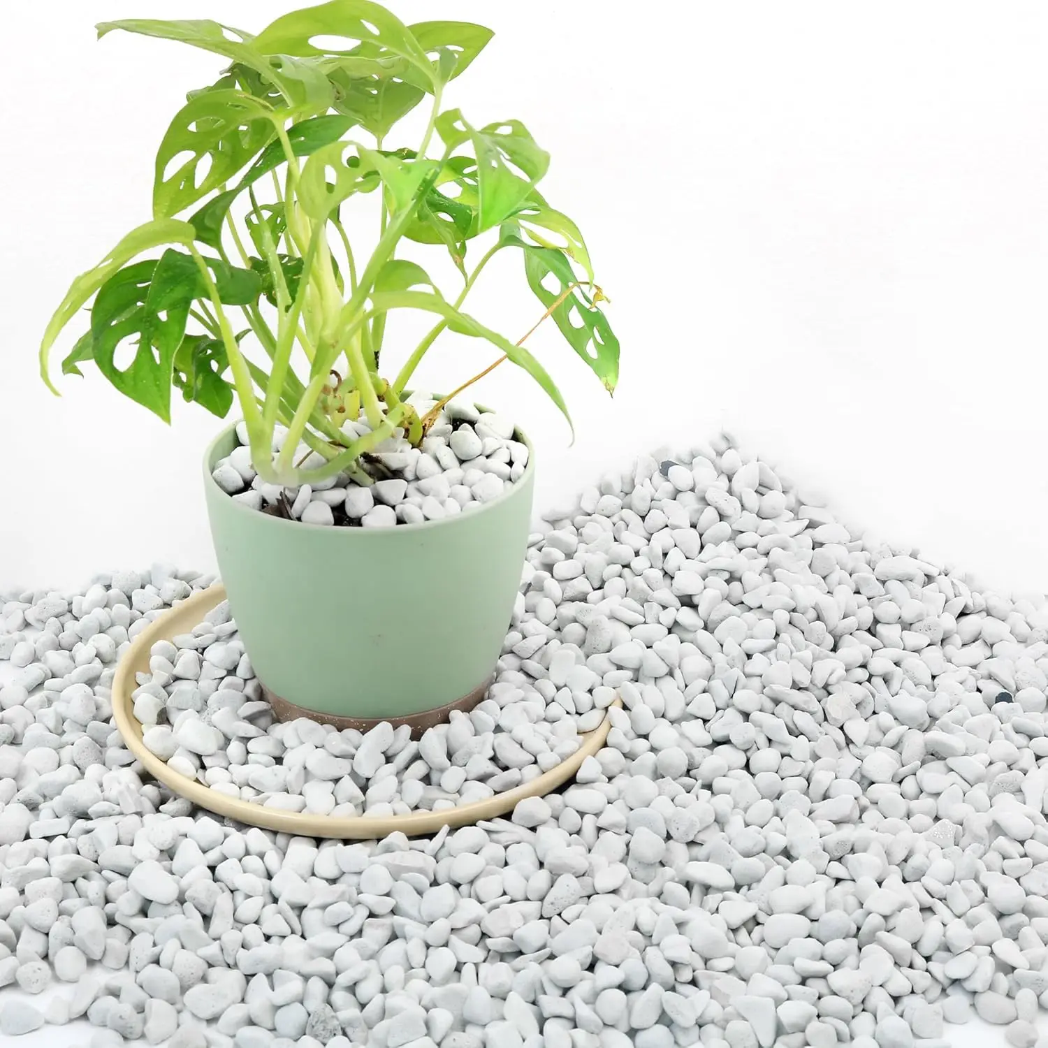3 Quarts Chunky Perlite for Plant Soil Amendment for Potting Soil, Improves Drainage and Aeration for Soil, Ideal for Succulents
3 Quarts Chunky Perlite for Plant Soil Amendment for Potting Soil, Improves Drainage and Aeration for Soil, Ideal for Succulents