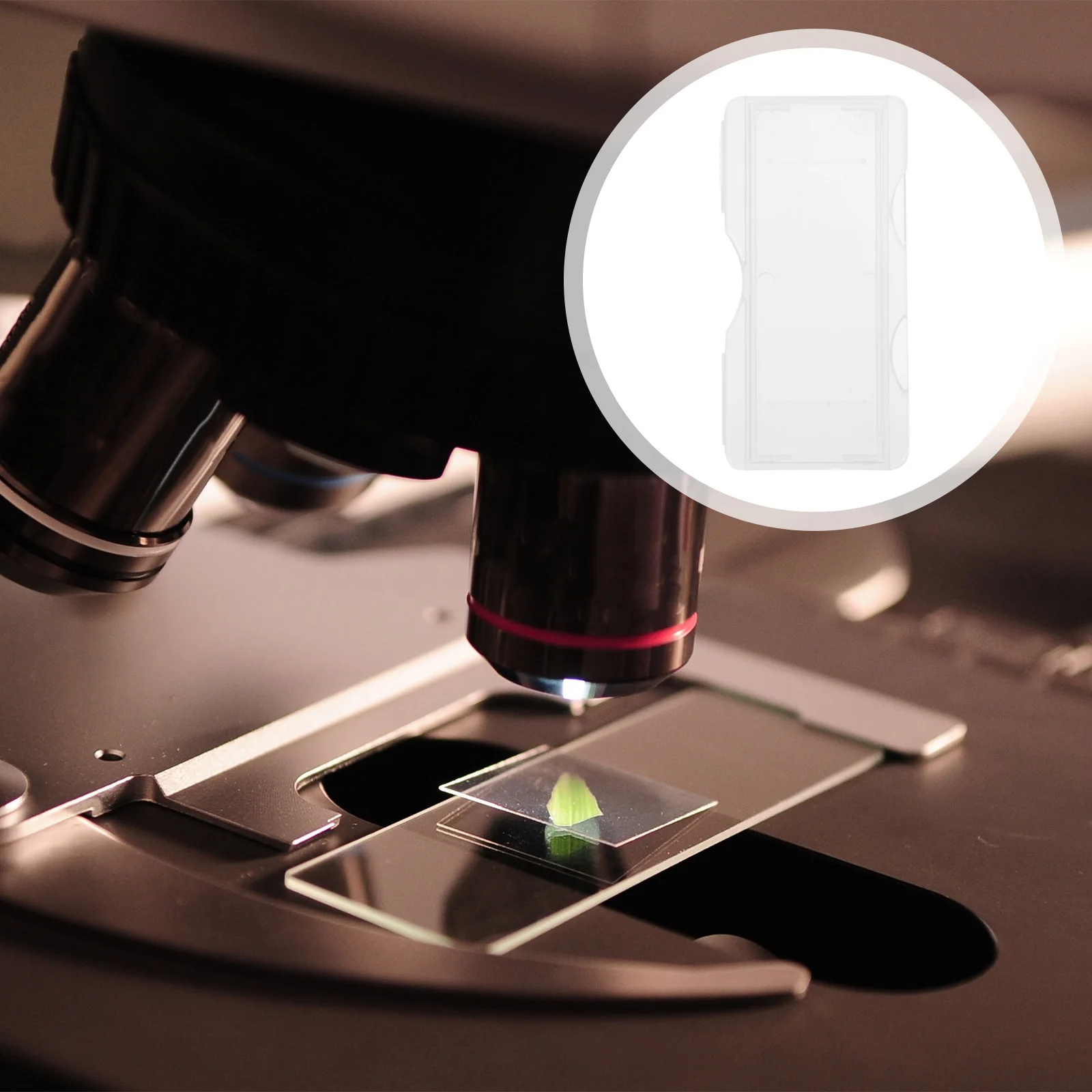 100pcs Pathology Slide Holder Microscope Slide Storage Box Premium Plastic Individual Case For Lab Teaching Specimen Container
100pcs Pathology Slide Holder Microscope Slide Storage Box Premium Plastic Individual Case For Lab Teaching Specimen Container