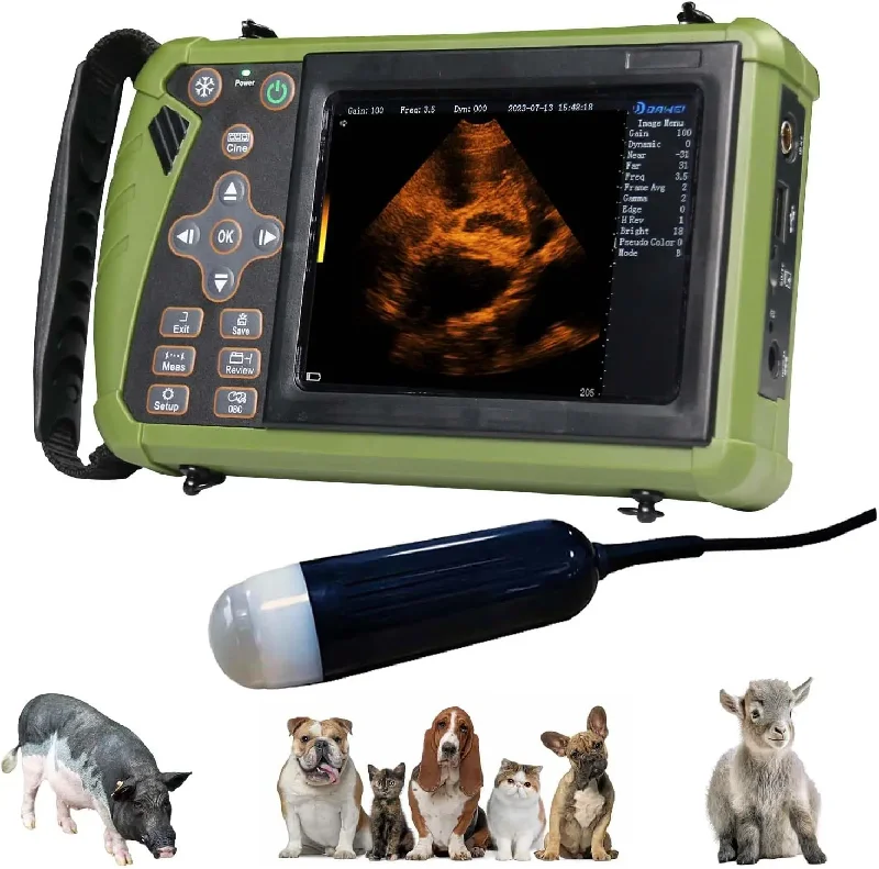 Portable Veterinary Ultrasound Scanner for Pregnancy Vet B Ultra Machine with 3.5MHz Convex Probe for Pig Sheep Dog Animals
Portable Veterinary Ultrasound Scanner for Pregnancy Vet B Ultra Machine with 3.5MHz Convex Probe for Pig Sheep Dog Animals