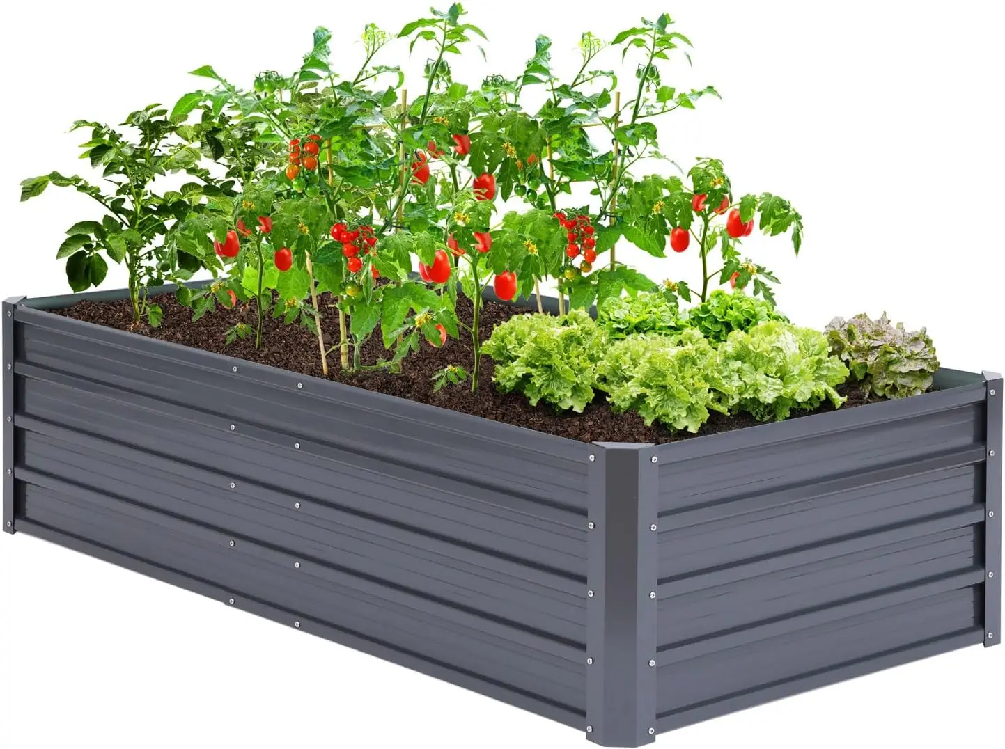 6x3x1.5 FT Galvanized Steel Raised Garden Bed for Vegetables and Flowers, Rustproof Heavy Duty Planter Box
6x3x1.5 FT Galvanized Steel Raised Garden Bed for Vegetables and Flowers, Rustproof Heavy Duty Planter Box