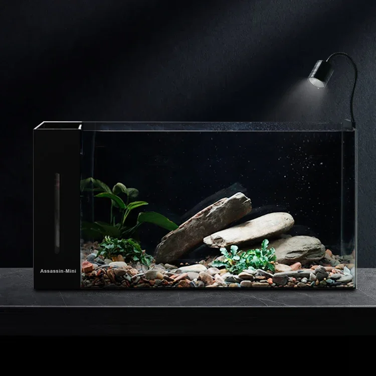 Aquarium 8mm Glass Thickness Aquarium Landscape Desktop Fish Tank Without Base Cabinets
Aquarium 8mm Glass Thickness Aquarium Landscape Desktop Fish Tank Without Base Cabinets