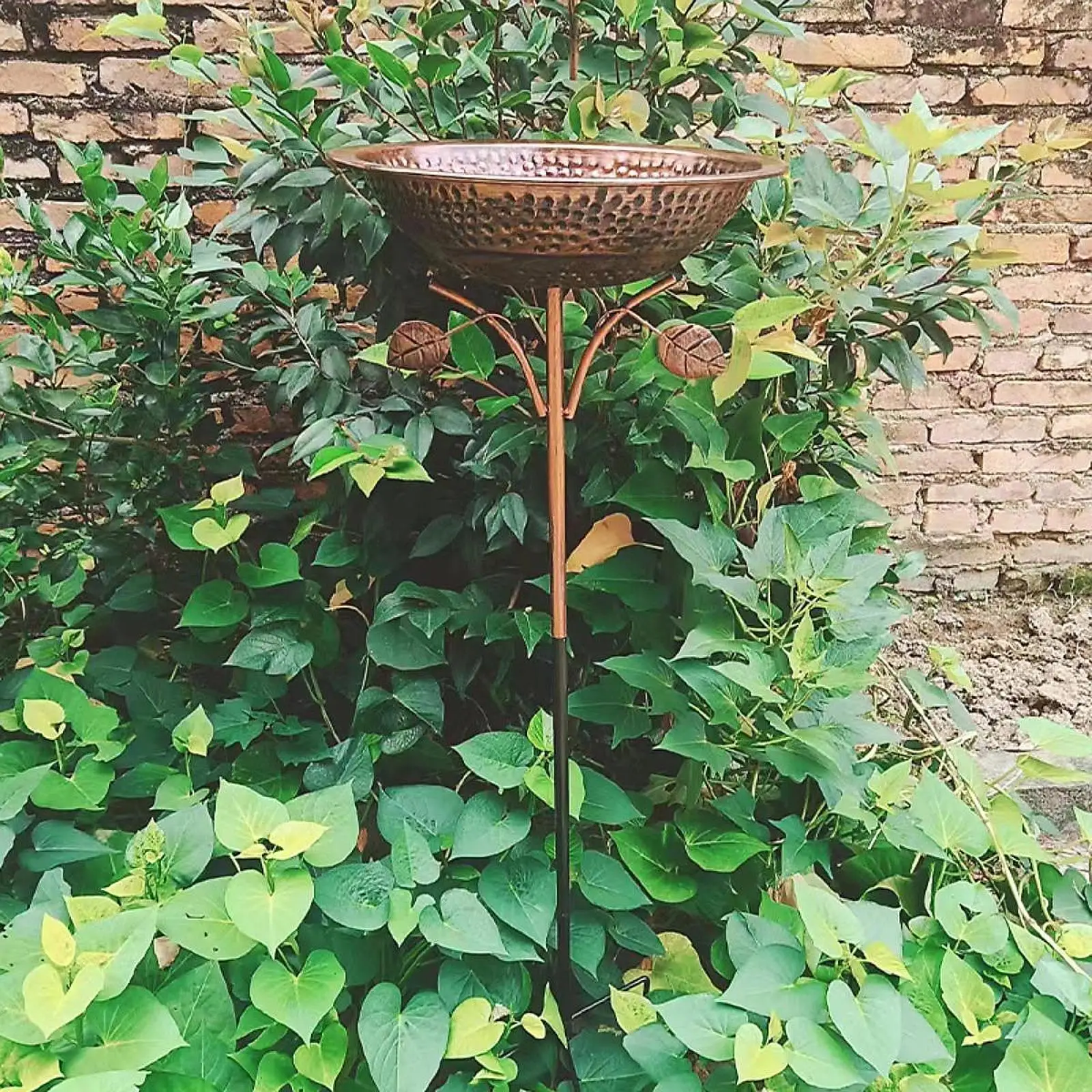 Garden Bird Bath Novelty Ideal Gift Weatherproof Vintage Design Feeder Bowl Garden Decor for Outside Lawn Courtyard Backyard
Garden Bird Bath Novelty Ideal Gift Weatherproof Vintage Design Feeder Bowl Garden Decor for Outside Lawn Courtyard Backyard