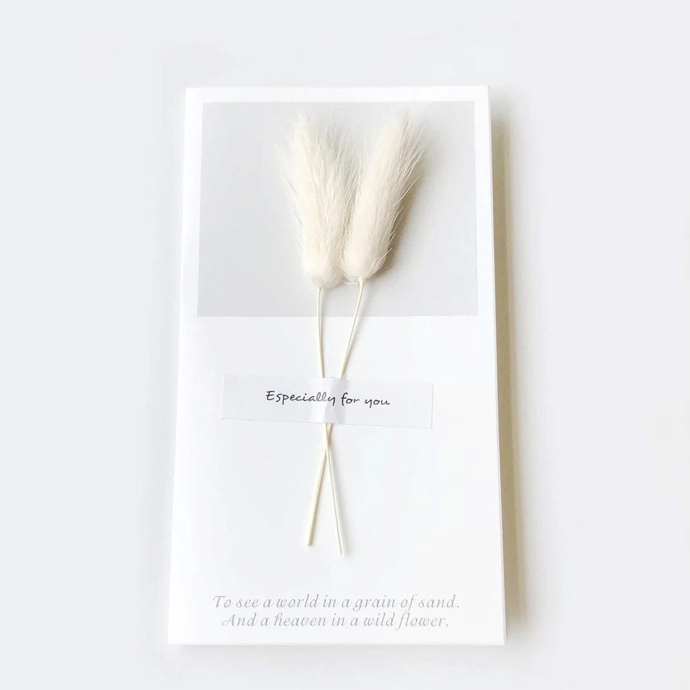 12pcs Dried Flower Greeting Cards Eco Friendly Ideal for Families Friends Teachers Party Invitation Birthday Valentine
12pcs Dried Flower Greeting Cards Eco Friendly Ideal for Families Friends Teachers Party Invitation Birthday Valentine