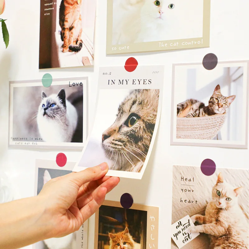 15 Sheets/Set Cute Pet Series Postcard Creative Message Cards Birthday Letter Business Gift Card Wall decoration
15 Sheets/Set Cute Pet Series Postcard Creative Message Cards Birthday Letter Business Gift Card Wall decoration