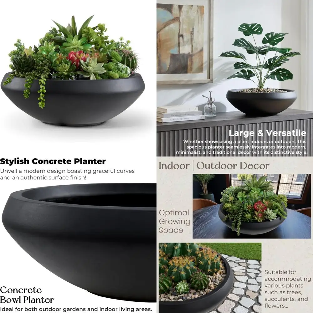 Large Concrete Succulent Pot with Drain Hole, 19 Diameter Bowl Planter for Indoor Herbs, Bonsai, and Shade-Loving Plants
Large Concrete Succulent Pot with Drain Hole, 19 Diameter Bowl Planter for Indoor Herbs, Bonsai, and Shade-Loving Plants