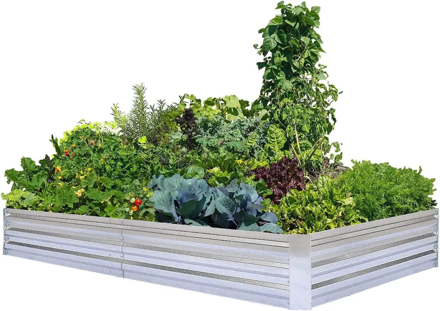 Large Galvanized Steel Raised Garden Bed Kit for Vegetables Flowers Herbs, 8x4x1ft Metal Planter Box
Large Galvanized Steel Raised Garden Bed Kit for Vegetables Flowers Herbs, 8x4x1ft Metal Planter Box