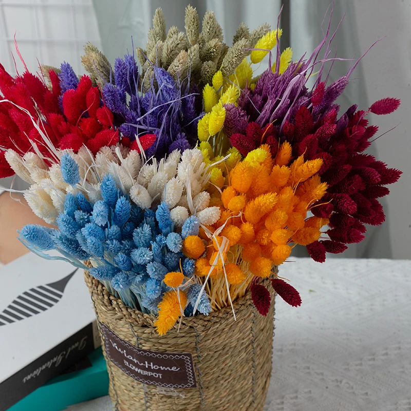 Plantas Naturales Dried Gem Grass Flower,Real Bouquet Flower Pots Decorative Pampas Grass Decor Photography Props
Plantas Naturales Dried Gem Grass Flower,Real Bouquet Flower Pots Decorative Pampas Grass Decor Photography Props