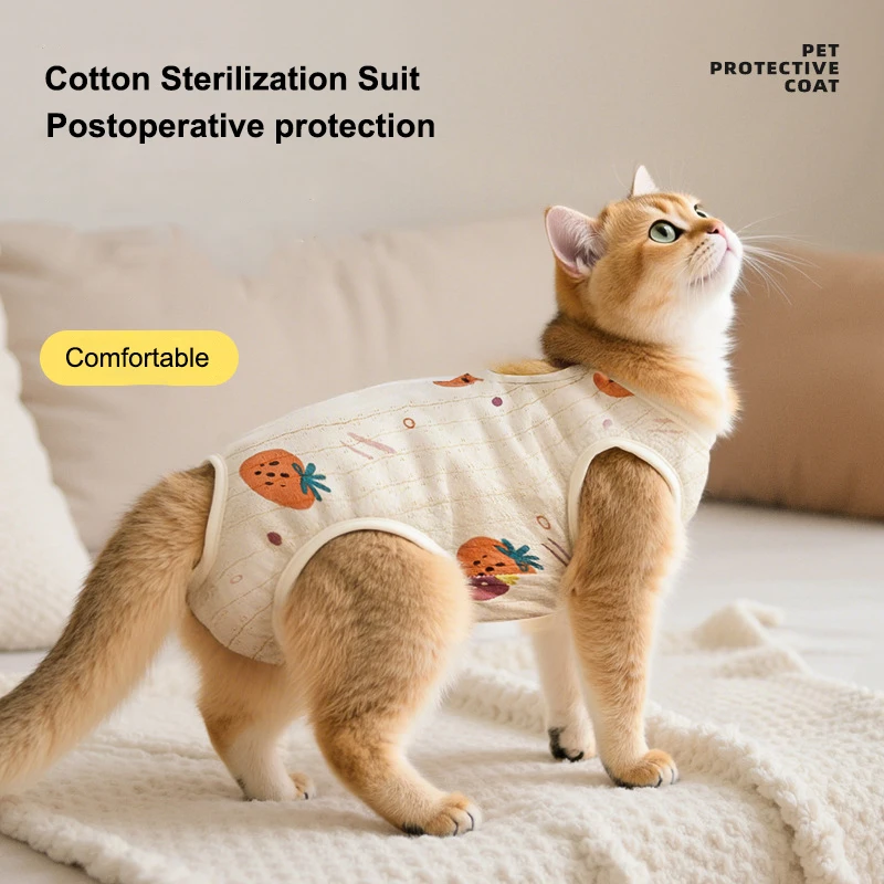 Cat Weaning Sterilization Suit Female Cats Jumpsuit Anti-lick Recovery Clothing After Surgery Strawberry Pet Care Clothes
Cat Weaning Sterilization Suit Female Cats Jumpsuit Anti-lick Recovery Clothing After Surgery Strawberry Pet Care Clothes