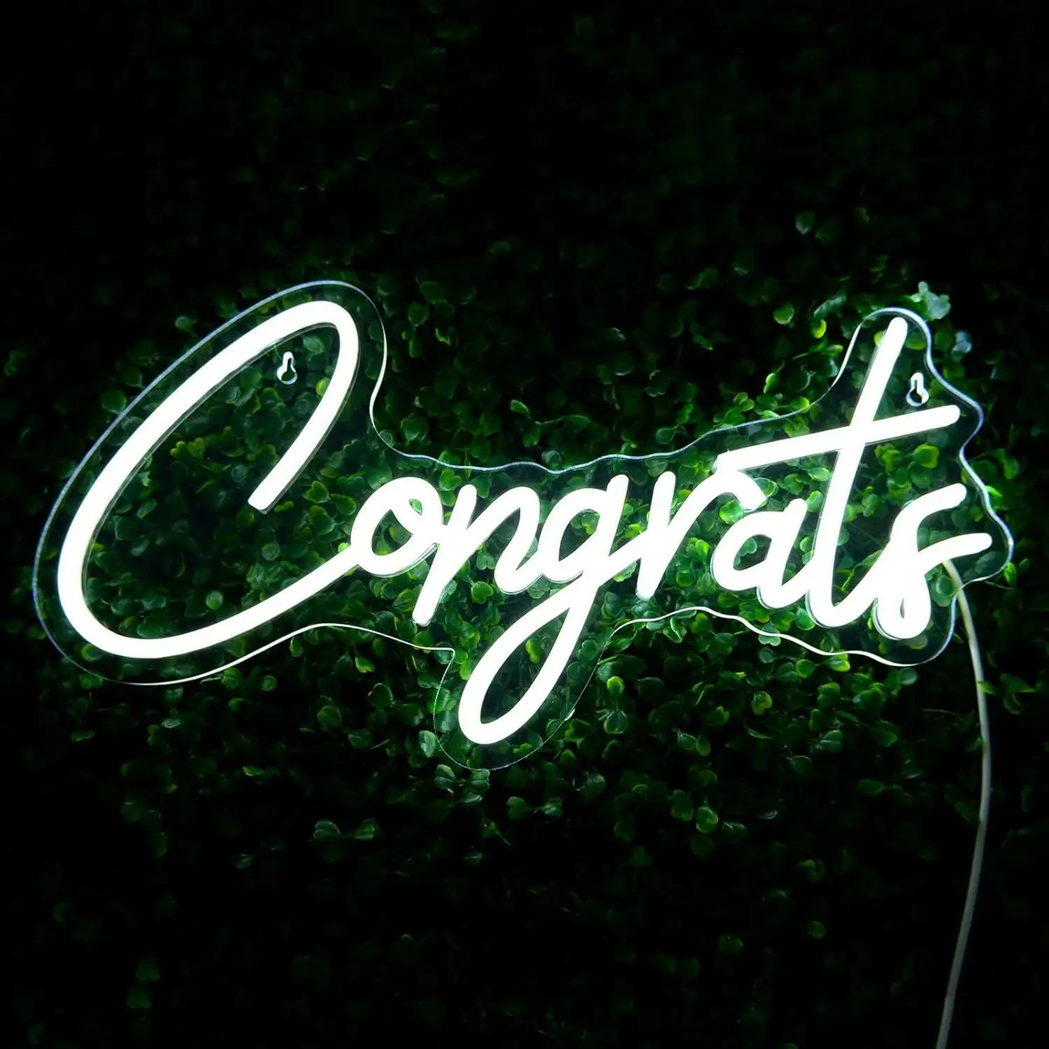 Congrats Neon Sign Dimmable LED Neon Lights Sign for Congratulations Graduation Decoration Neon Lights for Party Wedding Banner
Congrats Neon Sign Dimmable LED Neon Lights Sign for Congratulations Graduation Decoration Neon Lights for Party Wedding Banner