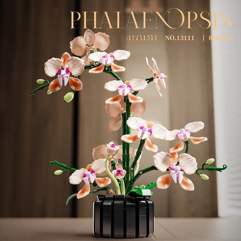 Eternal Flower Orchid Building Block Potted Plant Model, Home Decor Item, Gift for Girls for DIY Creativity, DIY Gift, Birthday/
Eternal Flower Orchid Building Block Potted Plant Model, Home Decor Item, Gift for Girls for DIY Creativity, DIY Gift, Birthday/